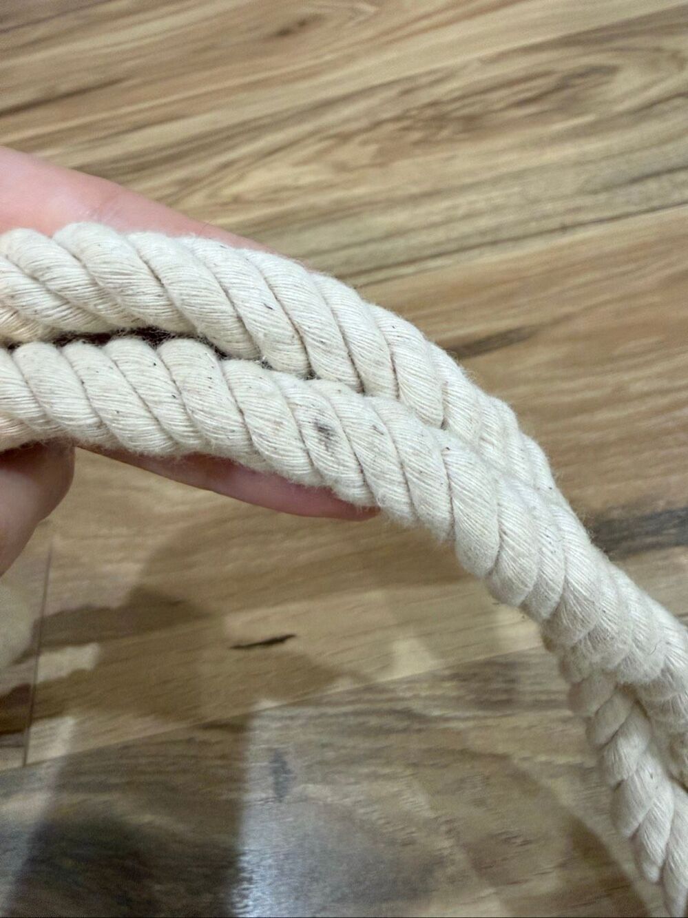 Belt - Picture 3 of 4